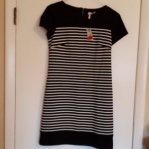 Laundry Striped Dress